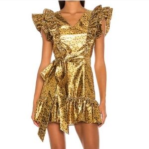 LoveShackFancy Zoya Mini Dress Safari Metallic Ruffle Tie Waist Size 6
